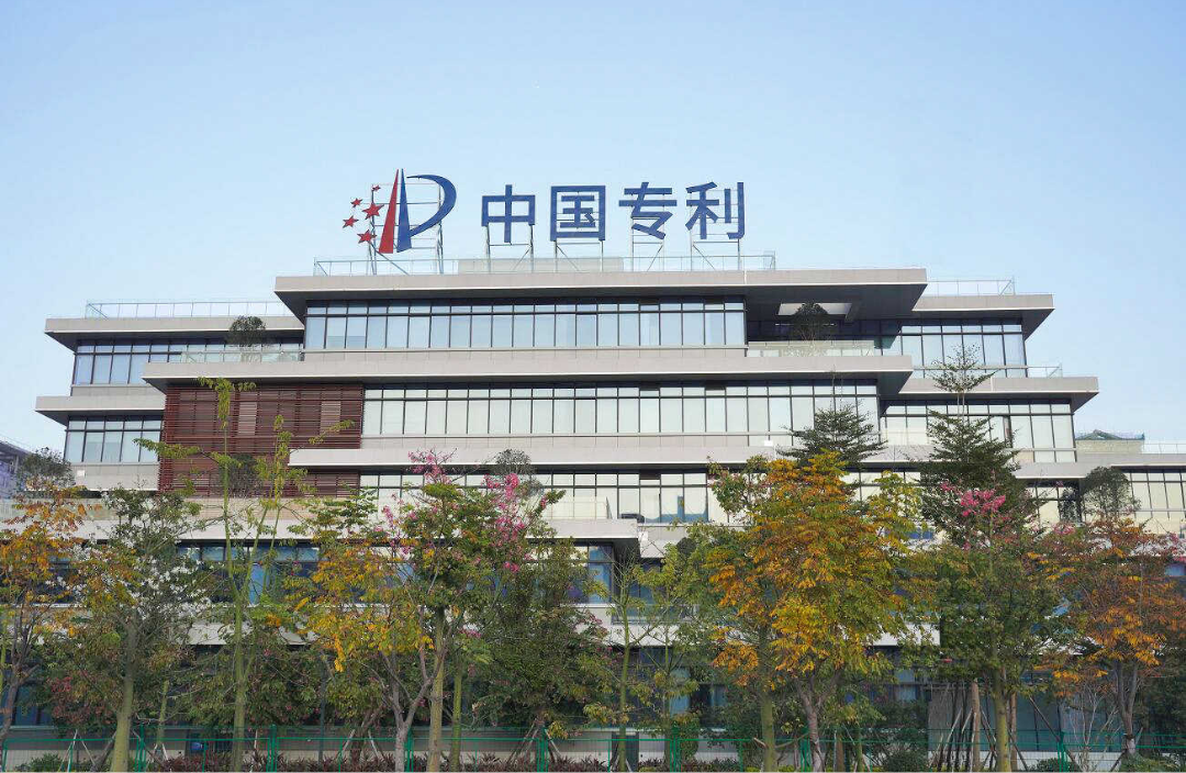 审1